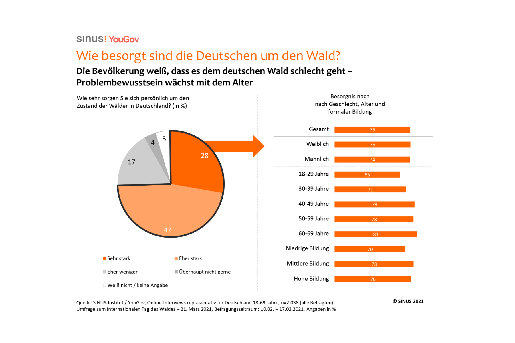 Grafik: Wie besorgt sind die Deutschen um den Wald?