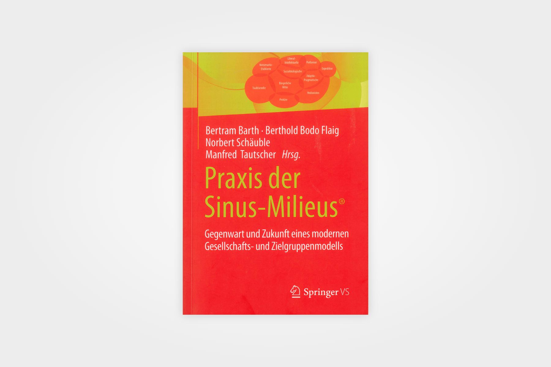 Praxis der Sinus-Milieus®